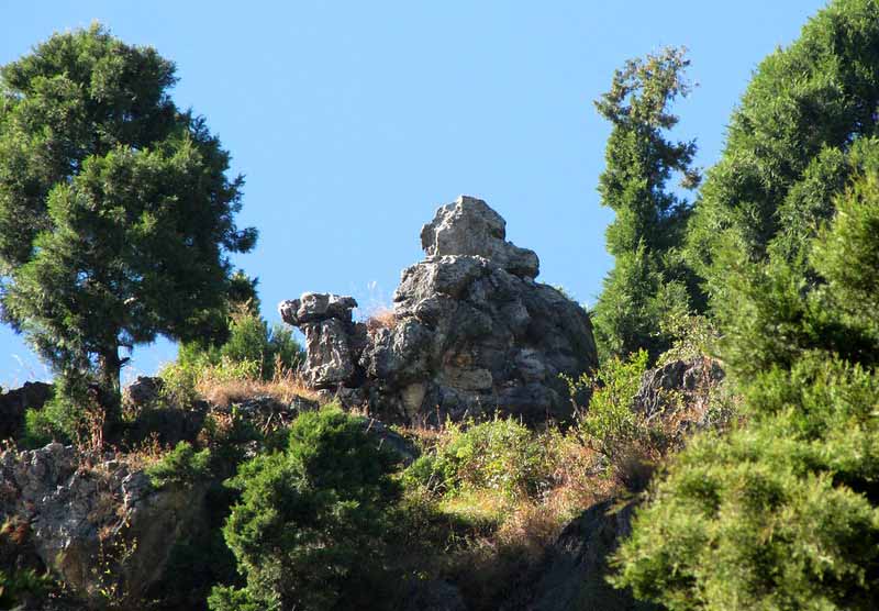 Camel-back-road-mussoorie