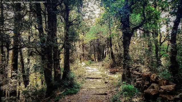 Eco-park-in-dhanaulti