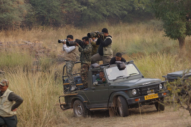 Jungle-safari-ranthambore-national-park