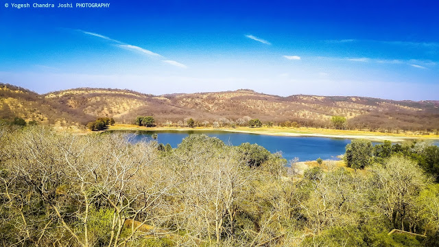 Ranthambore Wildlife Sanctuary