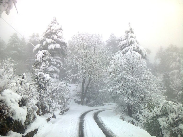 snow-covered-road-in-dhanaulti