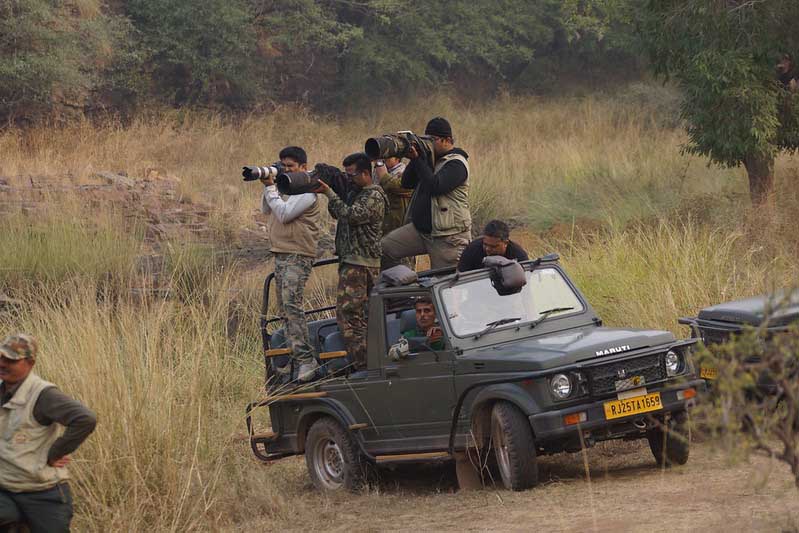 Jungle-safari-ranthambore-national-park