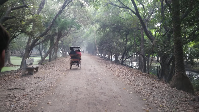Keoladeo-national-park-cycle-Rickshaw