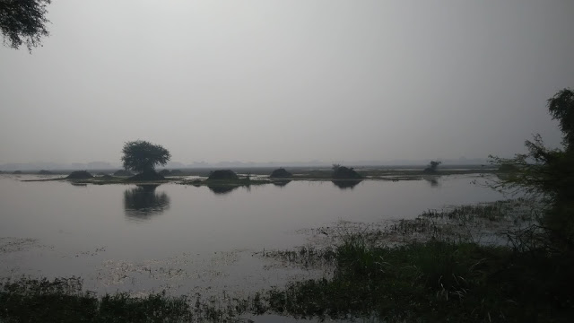 Morning-view-from-keoladeo-bird-sanctury