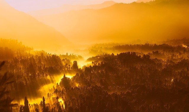 Kangra valley