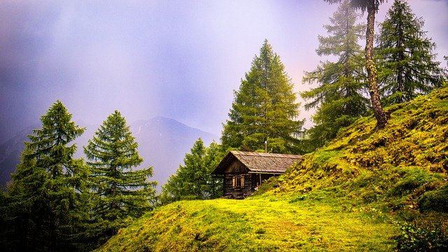 alpine_grassland_rudranath