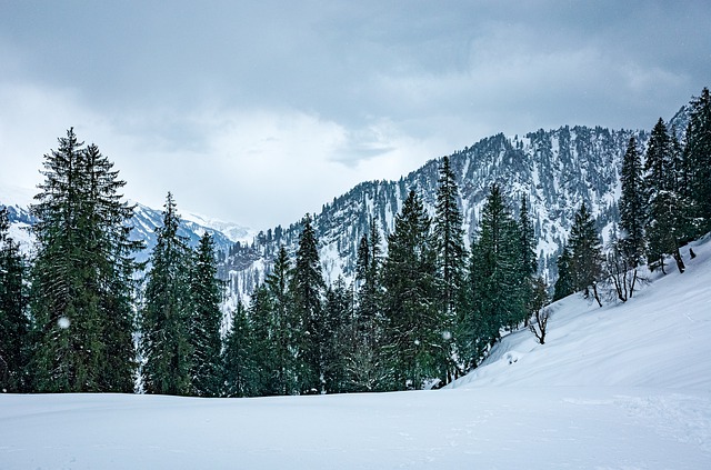 kedarkantha_trek_in_winter