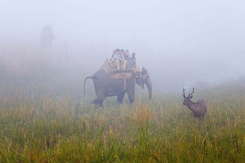 elephant_safari_kanha_national_park