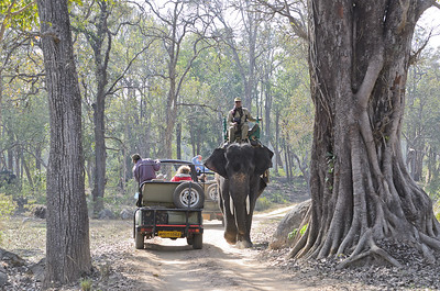 jeep_safari_kanha_national_park