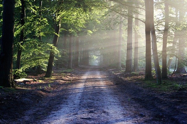 jim_corbett_national_park_weather