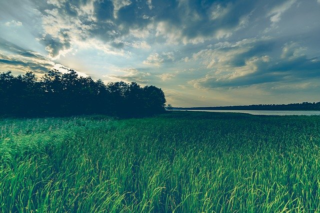 kaziranga_national_park