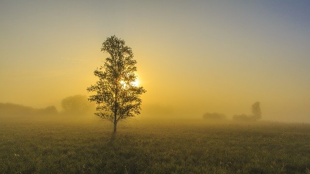 kaziranga_national_park_weather