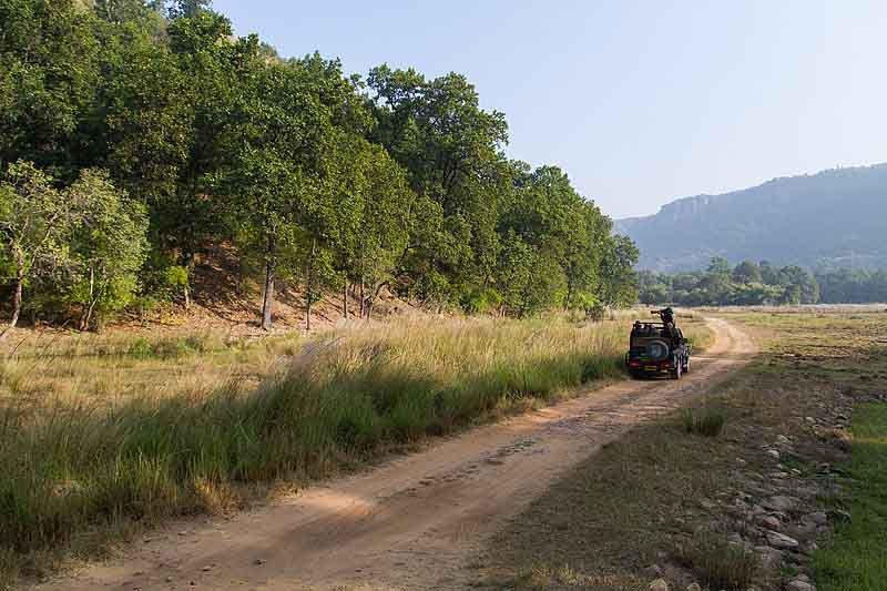 jungle_safari_bandhavgarh_national_park