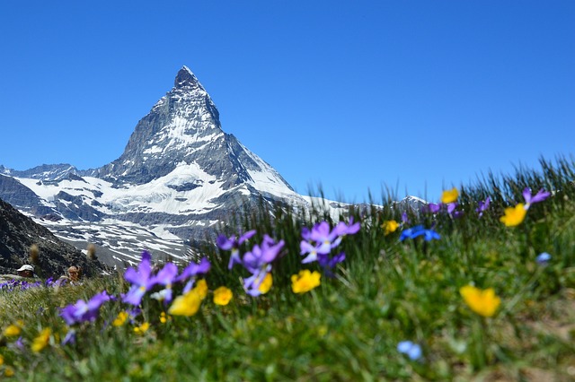 Valley of Flowers Mountains | Ref image