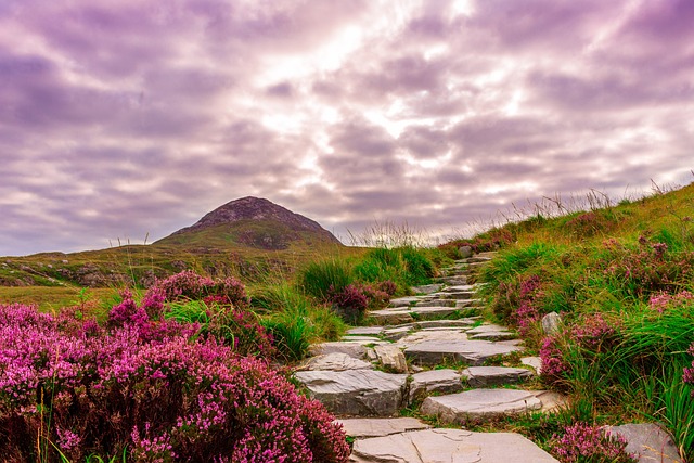 Valley of Flowers | Ref image