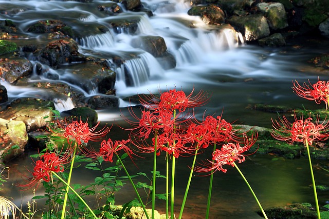 Waterfall in Valley of Flowers | Ref image