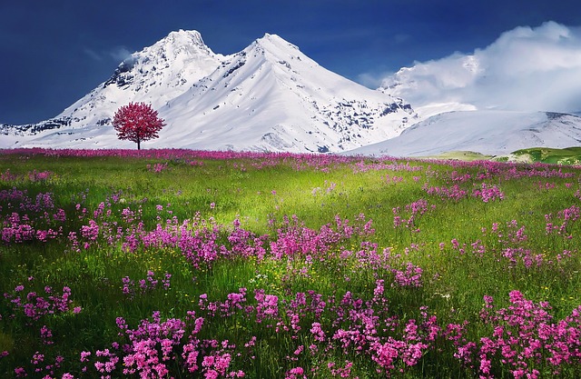 Weather in Valley of Flowers | Ref Image