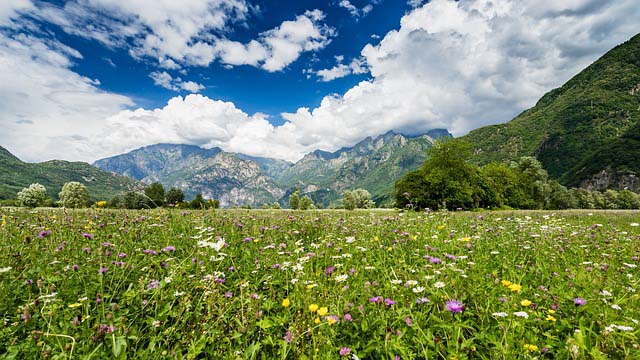 valley_of_flower_trek