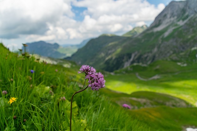 valley_of_flowers_weather
