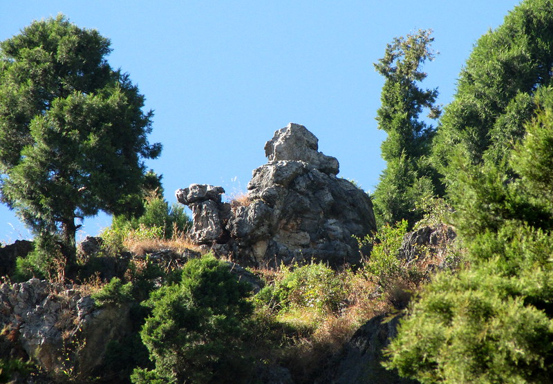 Camel_back_road_mussoorie