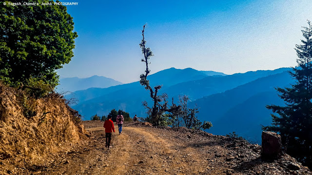 landscape_view_of_dhanaulti