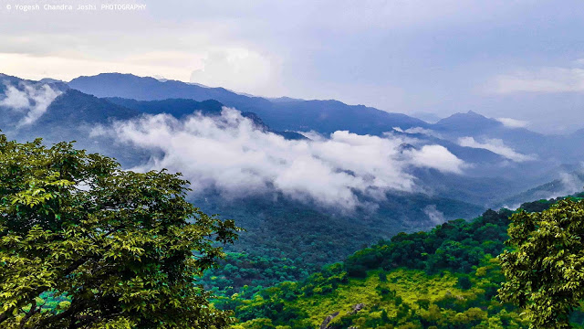 mount_abu_wild_life_sanctury