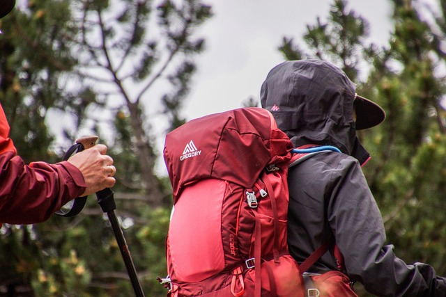 sri_hemkund_sahib_trek_route