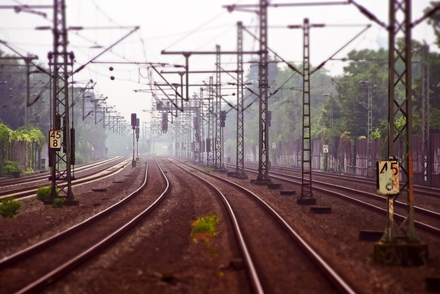 How_To_Reach_Sundarban_National_Park_By_Train