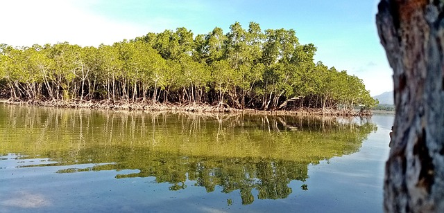 Lothian_Island_Wildlife_Sanctuary