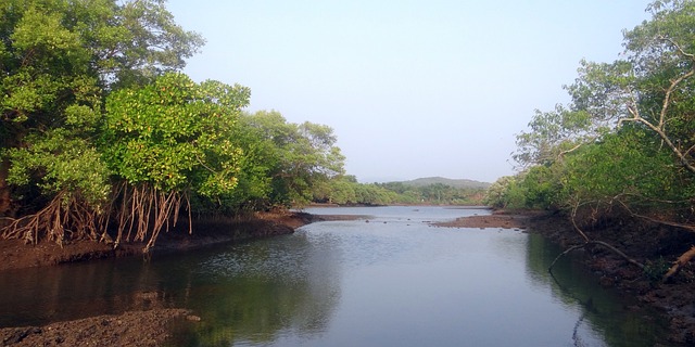 Netidhopani_Watch_Tower