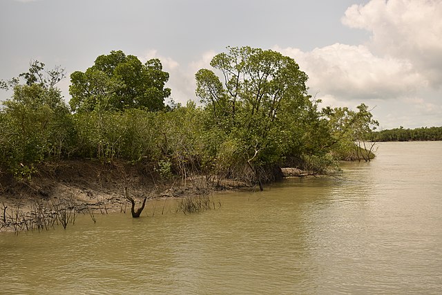 Sundarban_National_Park_a_Tiger_Reserve_mangrove_forest