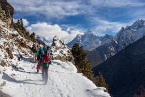 Kuari Pass Trek 2024 | Kuari Pass Trek Guide 2024