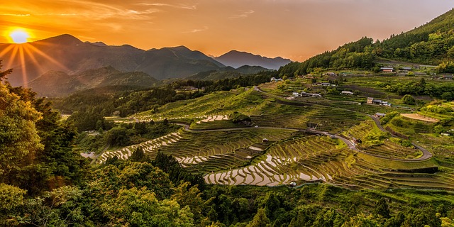 balanti_potato_farm